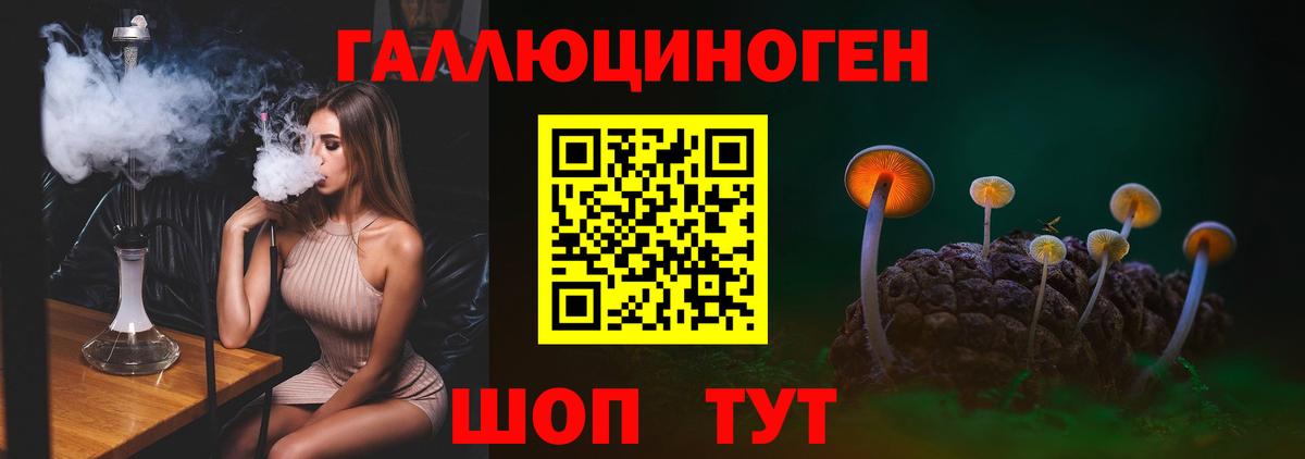 купить наркотик  Вход с VPN  Костомукша  Псилоцибиновые грибы Psilocybine cubensis 